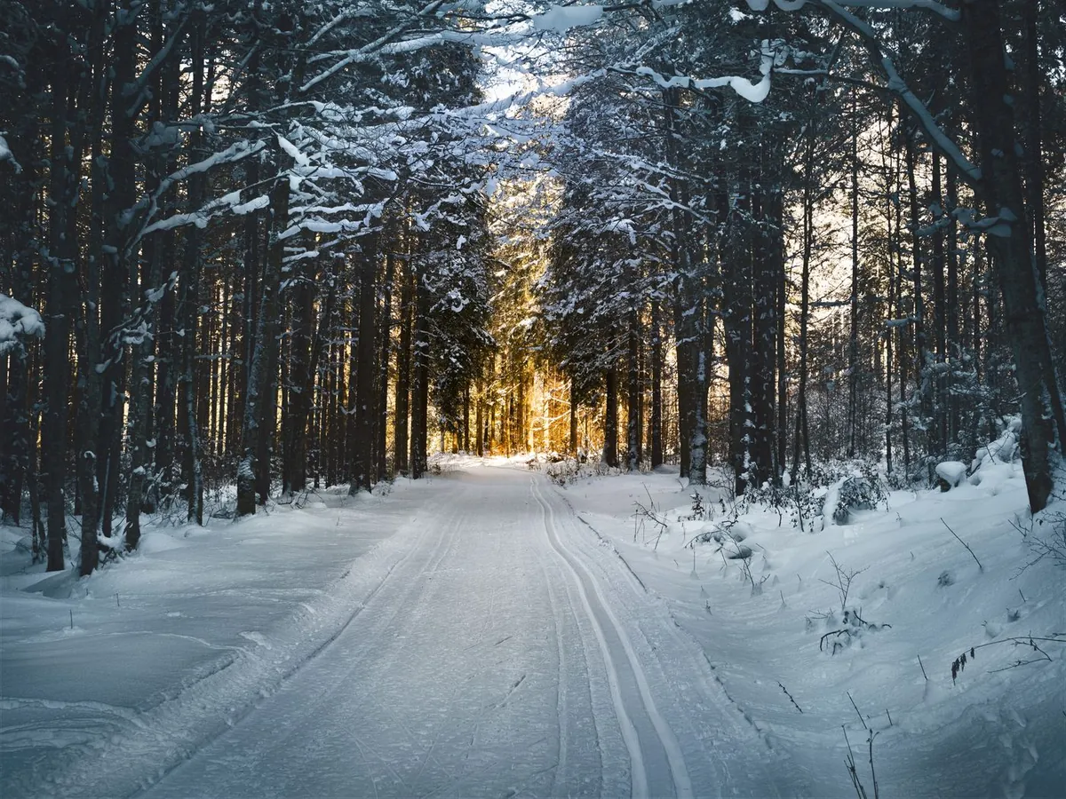 Verschneite Straße durch einen Winterwald